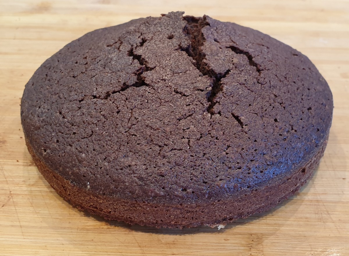 Chocolate Sponge Cake